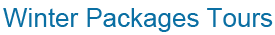Christmas Package Tours